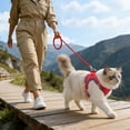 thumbnail image 3 of Escape Proof Cat Harness and Leash Set Soft Mesh Vest Adjustable Reflective Strips Safe Harness for Cat Walking and Outdoor Use, 3 of 3