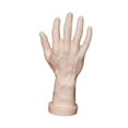 thumbnail image 2 of Bunblic Hand Model Jokes Toy Lifelike,Photo Props,Fake Hand Mannequin Hand for Cosplay Decoration Jewelry Display Party Nail Training skin, 2 of 8