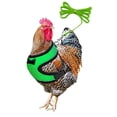 thumbnail image 2 of Chicken Leash Pet Chicken Leash Pet Leash, 2 of 5