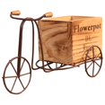 thumbnail image 1 of 1 Set Iron Tricycle Plant Stand Rustic Style Flower Pot Bike Planter Holder Desktop Decoration, 1 of 6