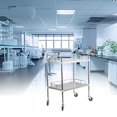 thumbnail image 1 of Elodie Chariot Utilitaire de Laboratoire à 2 Niveaux, Roues Silencieuses à 360 Degrés, Chariot Utilitaire Mobile, Service de Labo TP, 1 of 8