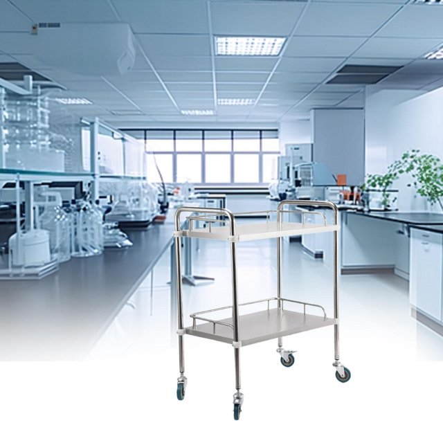 Elodie Chariot Utilitaire de Laboratoire à 2 Niveaux, Roues Silencieuses à 360 Degrés, Chariot Utilitaire Mobile, Service de Labo TP