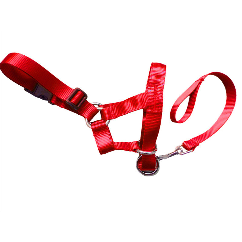 Dog Head Collar Gentle Stop Pulling Pet Lead Padded Noseband Training Halter