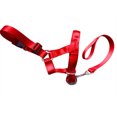 thumbnail image 1 of Dog Head Collar Gentle Stop Pulling Pet Lead Padded Noseband Training Halter, 1 of 1