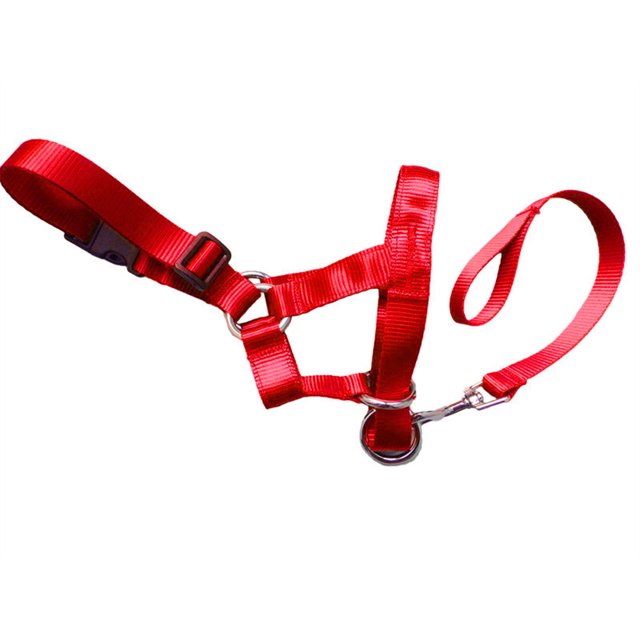 Dog Head Collar Gentle Stop Pulling Pet Lead Padded Noseband Training Halter