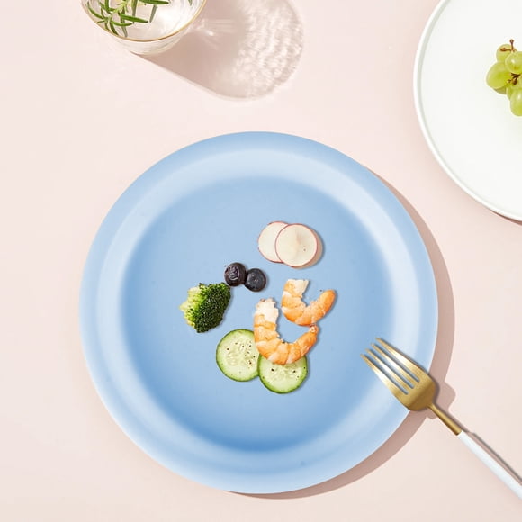 Birdeem Assiettes en Plastique, Assiettes de Service Incassables, Assiettes Incassables pour Collations et Desserts pour la Cuisine, le Camping et les Fêtes, Vaisselle Ronde Légère et Durable