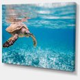 thumbnail image 1 of Designart - Large Hawksbill Sea Turtle - Abstract Canvas Art Print, 1 of 2