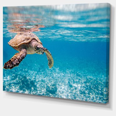 Designart - Large Hawksbill Sea Turtle - Abstract Canvas Art Print