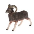 thumbnail image 2 of KLKCMS 1pc Realistic Animal Model Plastic Farm Figures Educational Learn Toy argali, 2 of 7