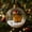 C C, variante sur ABPWLY Boule de Neige de Noël Animal Ornement Verre Miniature Chapeau du Père Noël Forêt Hibou Raton Laveur Paresseux Bétail Capybara Pingouin Suspendu Arbre Fête Festive Cadeau pour Amateur d'Animaux de Compagnie Scène de Neige Mini de Table de Collection