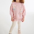 thumbnail image 2 of 2025 Toddler Girl Fall Outfits Pullover Pants 2Pcs Sweatsuit Set Kids Baby Winter Clothes Jogging Suits Pink, 2 of 9