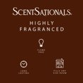 thumbnail image 4 of ScentSationals Scented Wax Cubes - Cinnamon, 4 of 5