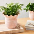 thumbnail image 3 of FRAÎCHE Spring Large Terracotta Planter Pot, 10-in, 3 of 5