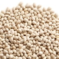 thumbnail image 1 of Navy Beans, 1 of 1