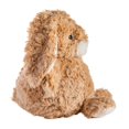 thumbnail image 2 of Mary Meyer - Recycled Again Friends - Honey Bunny 6", 2 of 3