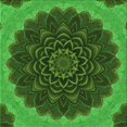 thumbnail image 1 of Ahgly Tapis d'Intérieur Lavable en Machine Carré Vert Émeraude Profond Transitionnel, 7 Pieds Carré, 1 of 7