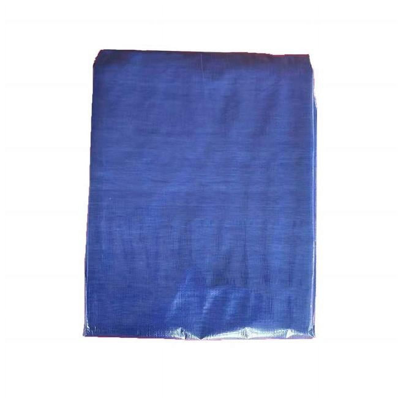 Tru-Guard 100785 Bâche de Rangement en Polyéthylène 12 x 16 Pi, Bleu