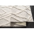 thumbnail image 3 of LaDole Rugs 6x9 ft Fluffy Shaggy Area Rug | Machine Washable Carpet For Bedroom, Living Room, Kitchen, Dining, Indoor Floor Décor |Cream, 3 of 5