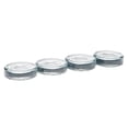 thumbnail image 1 of Masontops Pickle Pebbles plus, Wide Mouth, 4-Pack, 1 of 4