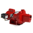 thumbnail image 1 of Red Lion RJS-100-PREM Pompe à Jet Peu Profonde en Fonte Thermoplastique 1HP 602208, 1 of 5