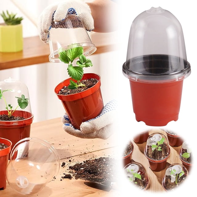 Pot de Semis avec Dôme d'Humidité Conteneur de Jardinage Transparent Petite Plaque de Semis pour Intérieur Extérieur