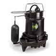 thumbnail image 1 of ECOFLO Pompe de Carter Submersible 1 Troisième HP CI Pro Vert Sw, 1 of 10