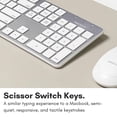 thumbnail image 4 of Macally Clavier Filaire USB Ultra Mince avec Pavé Numérique pour Apple Mac Pro, MacBook Pro/Air, iMac, Mac Mini, Ordinateurs Portables, Ordinateur de Bureau Windows PC Lap, 4 of 8