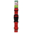 thumbnail image 2 of Pet Attire by Coastal Large 18-26" Red Adjustable Buckle Dog Collar, 2 of 8