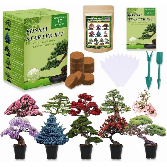 HIGHGW Bonsai Tree Seeds Kit 10 Popular Varieties Soil Pots Plant Markers Bonsai Starter Kit with Grow Guide