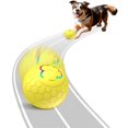 thumbnail image 1 of Meottam Interactive Dog Toys Ball for Small & Medium Dogs, Electric Bouncing Durable Automatic Rolling Balls with LED Lights, Waterproof Smart Tennis Pets Chew Toys for Dogs and Cats (Yellow), 1 of 6