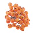 thumbnail image 2 of jifeng 200Pcs Mini Christmas Foam Frosted Fruit Artificial Flowers Orange, 2 of 4
