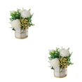 thumbnail image 1 of kurtrusly Artificial Flowers With Vase Add Of Color And Style To Any Room Indoor Pinellia white 2Set, 1 of 6