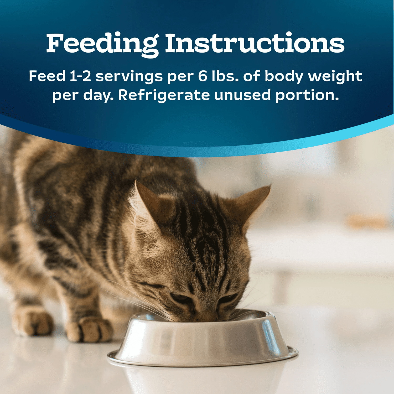 Blue Buffalo Tastefuls Portions Individuelles à Servir Sans Ustensile Pate au Saumon Nourriture Humide pour Chats Adultes 85g