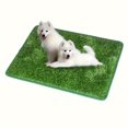 thumbnail image 4 of Premium Washable Dog Training Mat - Indoor/Outdoor Pee Grass For Easy Potty, 4 of 4
