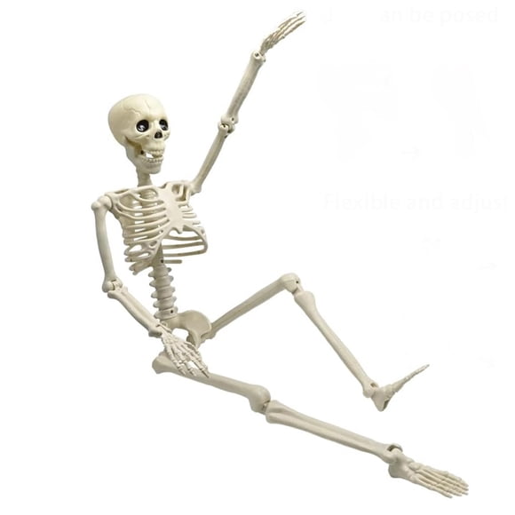 AQITTI Clearance! Halloween Skeleton Life Size Realistic Full Body Hanging W/ Movable Joints,White
