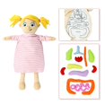 thumbnail image 4 of Human Body Anatomy Model Early Education Removable Soft Doll Organs for Teaching Aid, 4 of 8