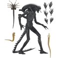 thumbnail image 1 of Alien Romulus 7 Inch Action Figure Ultimate - Xenomorph XX121, 1 of 6