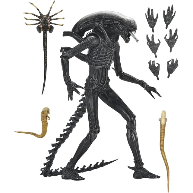 Alien Romulus 7 Inch Action Figure Ultimate - Xenomorph XX121 7-inch articulated action figure by NECA from the Ultimate series, labeled Xenomorph XX121 in a centered front-facing 3/4 pose on a neutral background, showing articulated limbs and tail silhouette; suitable for display on collector shelves or in sci-fi dioramas.