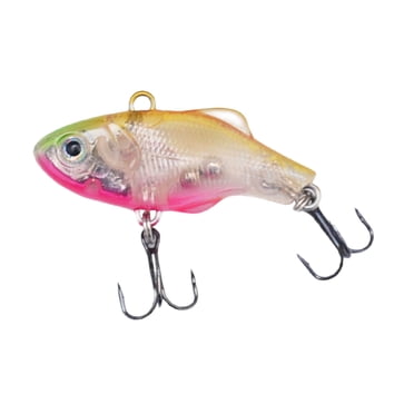 Hearth & Gear Crankbait Sans Lèvres – Conception Unique à Dos Plat pour une Vibration et un Son de Bruissement Améliorés Palourde 560 Glace pour Truite Moulinets à Arc Ensembles E Rigs Poche Pêcheur Ensembles de Glace 8 Personnes Abri de Glace Ensemble d'Accessoires