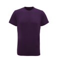 thumbnail image 1 of TriDri T-Shirt D\'entraînement Physique Léger à Manches Courtes pour Hommes, 1 of 2
