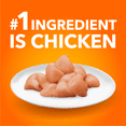 thumbnail image 4 of Iams Proactive Health Healthy Adult with Chicken Dry Cat Food 1.6kg, 4 of 15