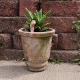 thumbnail image 4 of Thirsty Worm Moisture Monitor for Potted Plants – Color Changing Soil Sensor – Cute Garden Helper, 1PC, 4 of 7