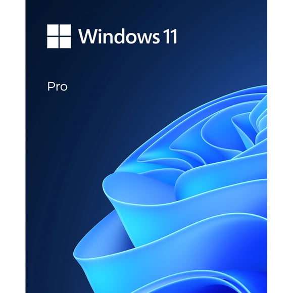 Windows 11 Professional 64 BIT in Media: USB
