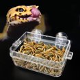 thumbnail image 2 of Amphibians Reptiles Anti Escape Feeder Worm Feeding Basin Tortoise Lizard Crawler Food Bowl, 2 of 9