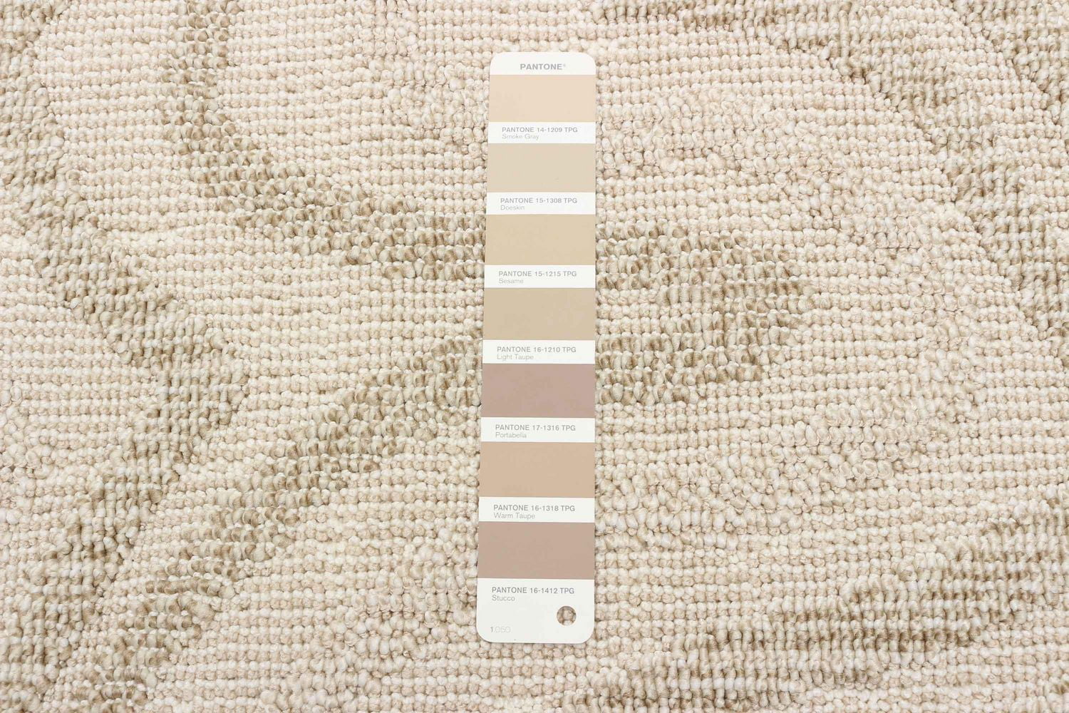 Tapis ECARPET Style Jute pour Chambre à Coucher, Salon