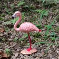 thumbnail image 3 of GROWTH TANK Différents Modèles de Figurines d'Oiseaux Jouet Enfants Éducatif Apprentissage - Pink Flamingo, 3 of 7