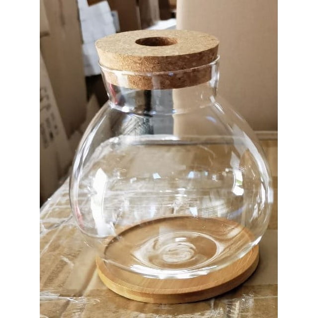 LEEYNEER Desktop Fish Bowl Hydroponic Terrarium Glass Small Fish Tank with Bamboo Cushion