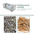 thumbnail image 4 of MesaSe 3 Pcs Fishing Shrimp Trap Minnow Cast Net Fishnets Lures Crayfish Foldable Crab Traps Crawfish, 4 of 6