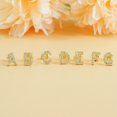 thumbnail image 2 of tredstone Simple Design Letter Rhinestone Earring Party Hiking Portable Stud Earrings Photo Shooting Ear Decor Jewellery G, 2 of 8