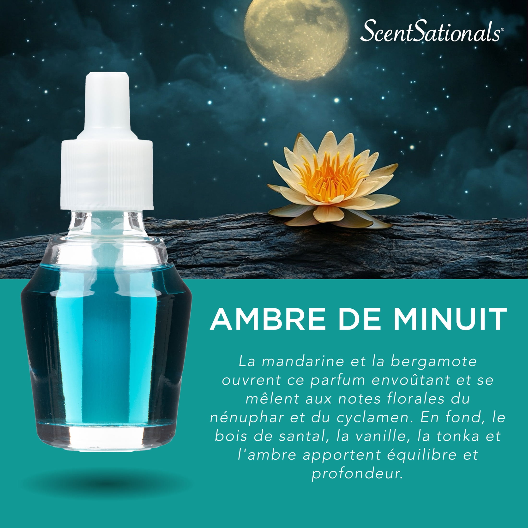 D'huile parfumée Scentsationals - Pluie de minuit